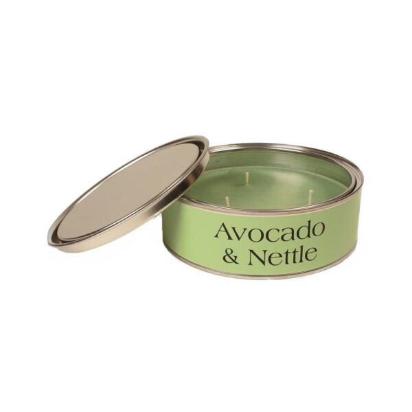 pintail candle avocado and nettle